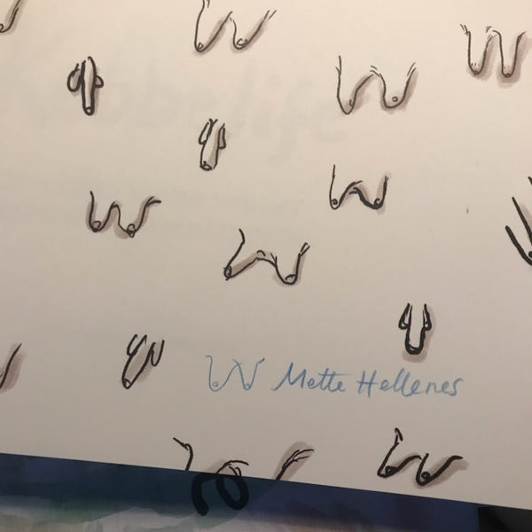 Mette Hellenes: Kebbelife. Hvordan vinne venner: Jakten på tusenlappene. SIGNERT!