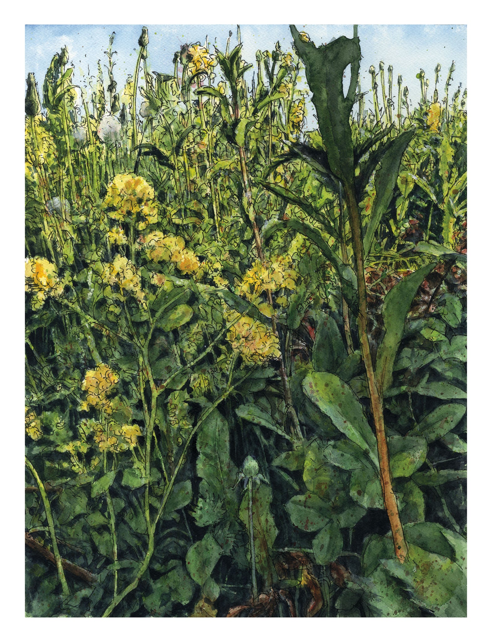 Steffen Kverneland: Blomstereng. Signert HQ print