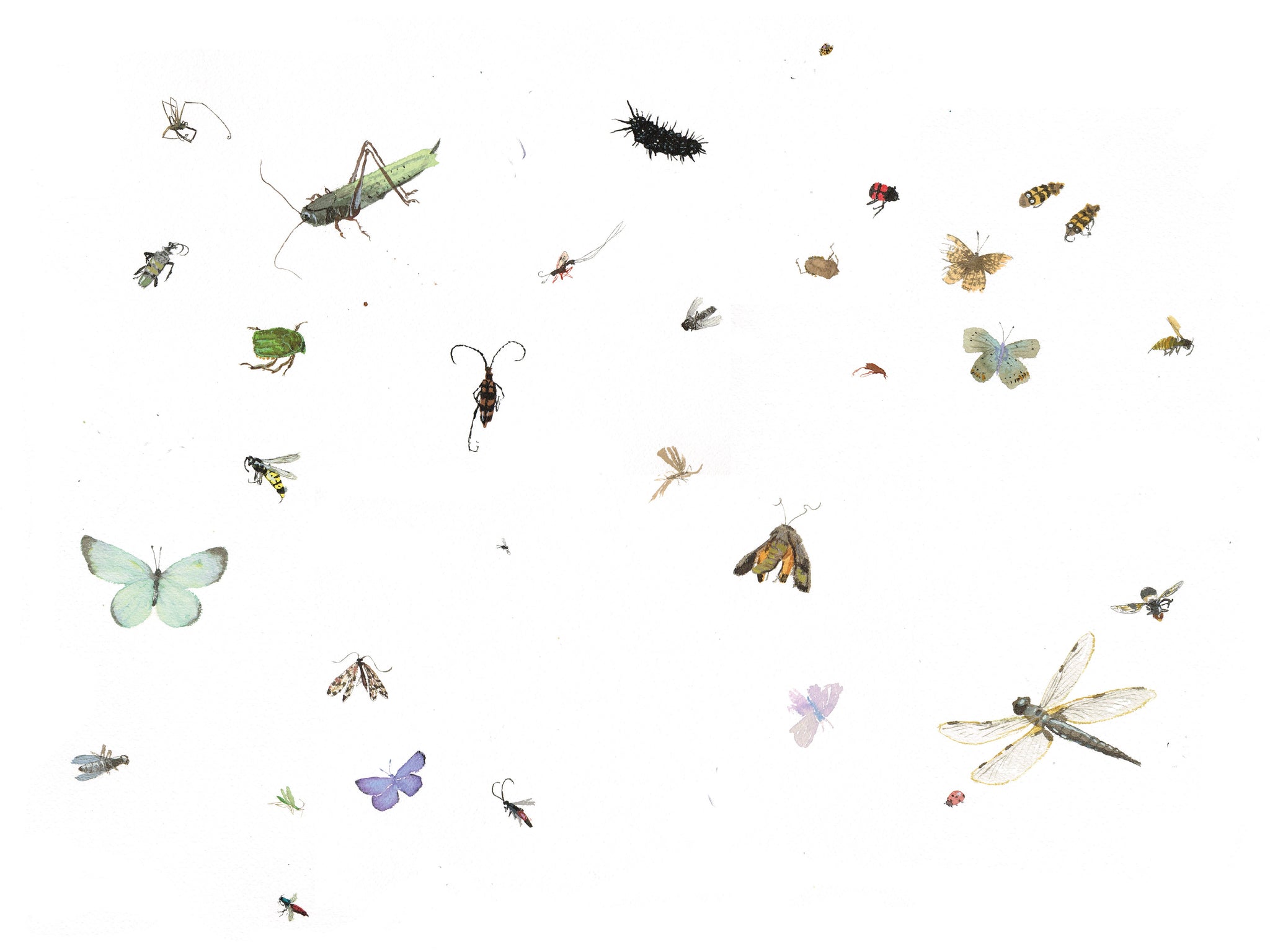 Temporarily out of stock Mette Hellenes: Insekter. Plakat, signert